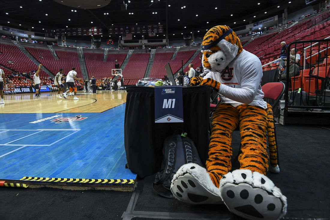 Aubie at March Madness